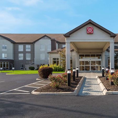 Hilton Garden Inn Columbus/גרוב סיטי מראה חיצוני תמונה